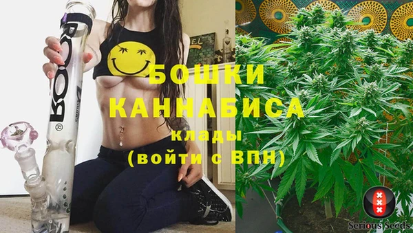 молекула духа Баксан