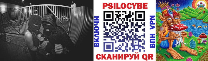 blacksprut сайт Гагарин Галлюциногенные грибы Magic Shrooms